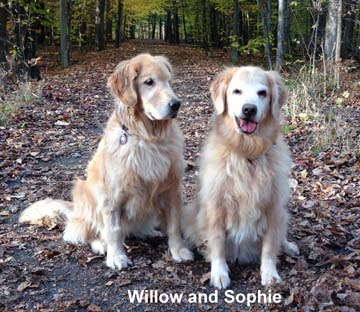 Willow and Sophie